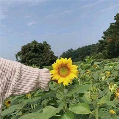 药水传奇官方版(暂未上线)v1.0.0 安卓版