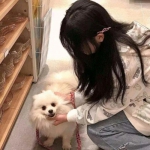 山海八荒录最新正版下载